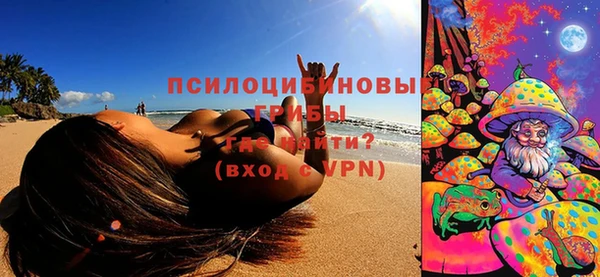 PSILOCYBIN Бронницы