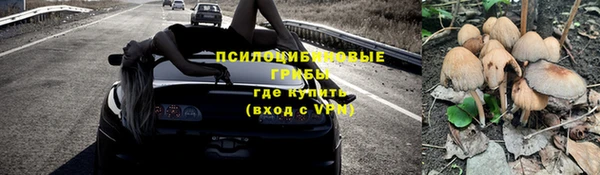кокаин Богданович