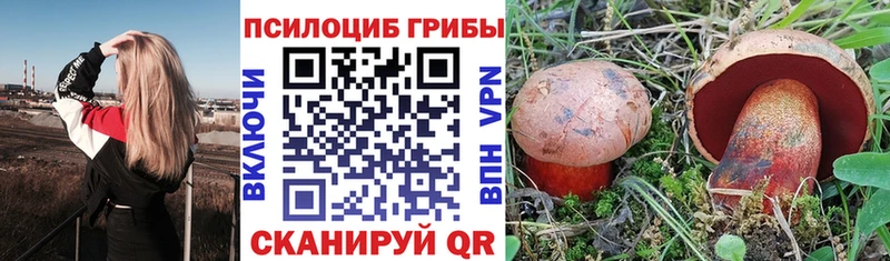 Купить где  Унеча  Псилоцибиновые грибы Psilocybe 